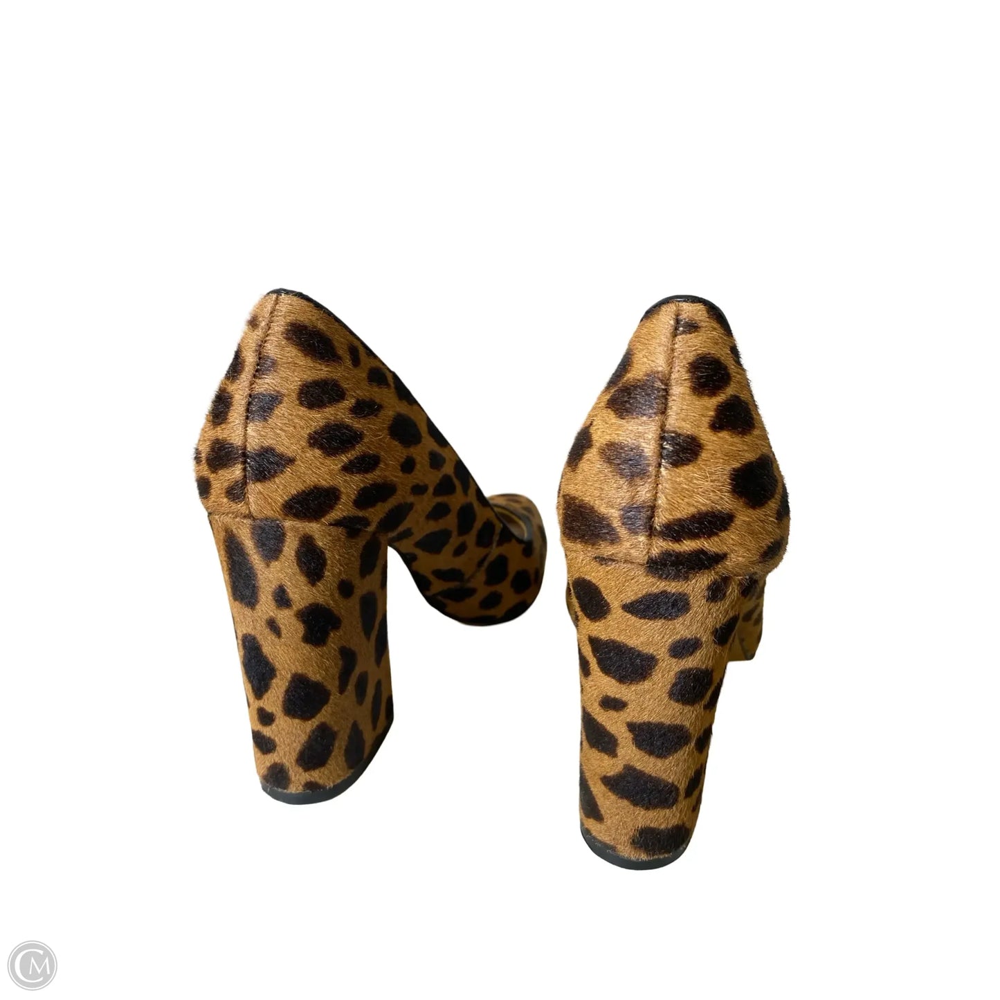 Shoes Heels Block By Vince Camuto In Animal Print, Size: 9