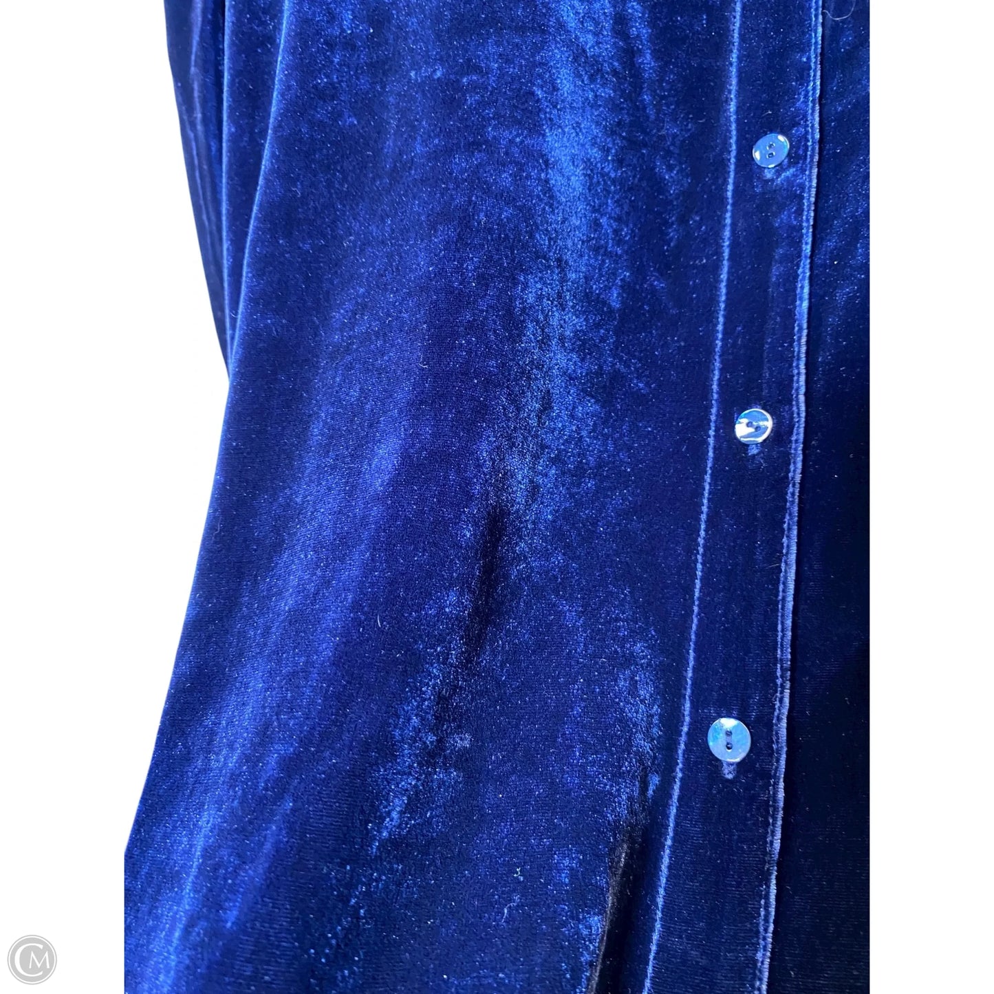 Top Long Sleeve By Eileen Fisher In Blue, Size: S