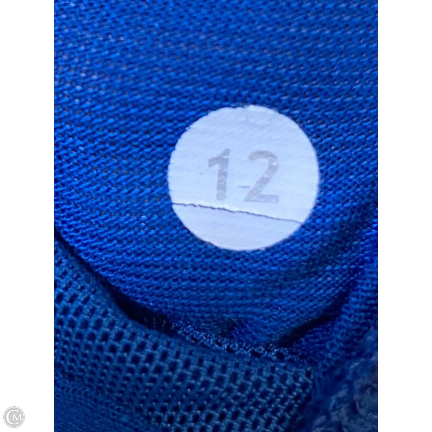 Athletic Tank Top By Lululemon In Blue, Size: L