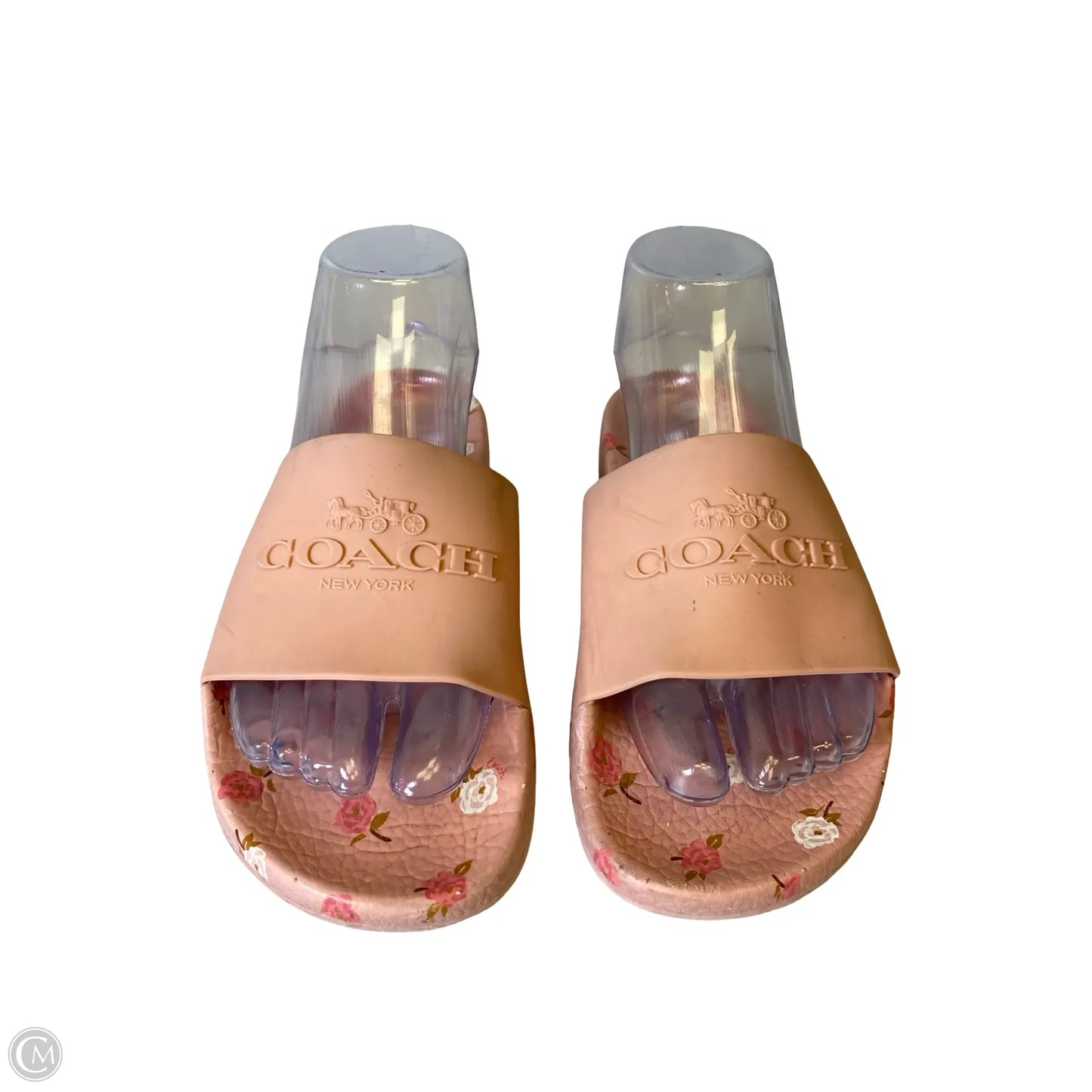 Shoes Designer By Coach In Floral Print, Size: 6