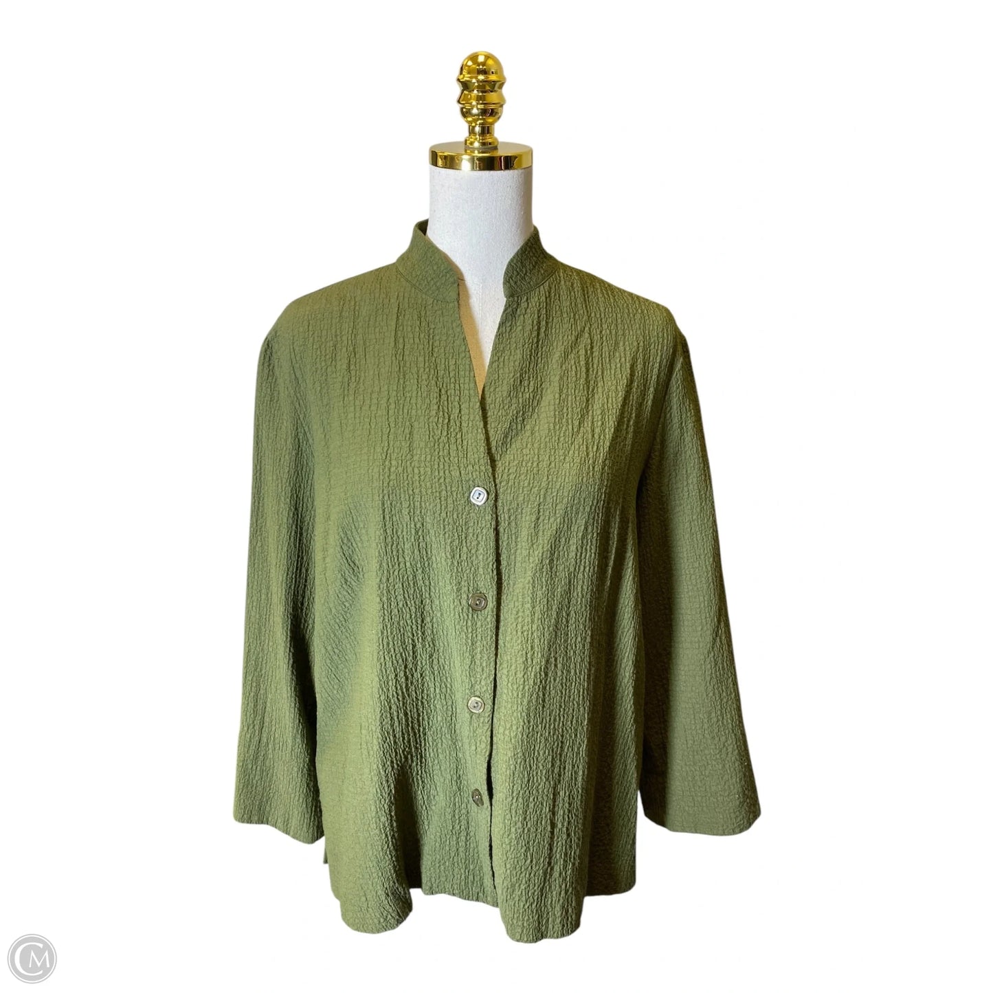 Blouse Long Sleeve By Clothes Mentor In Green, Size: Lp