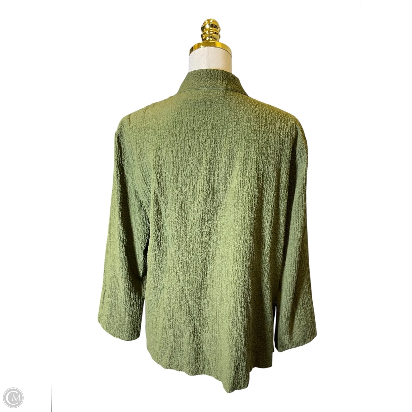 Blouse Long Sleeve By Clothes Mentor In Green, Size: Lp