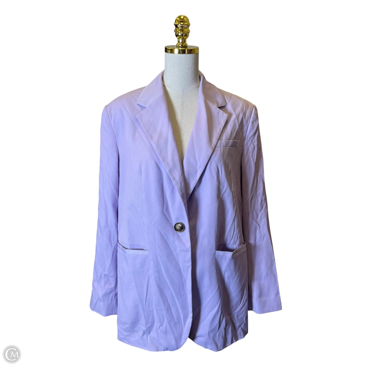 Blazer By Future Collective In Purple, Size: M