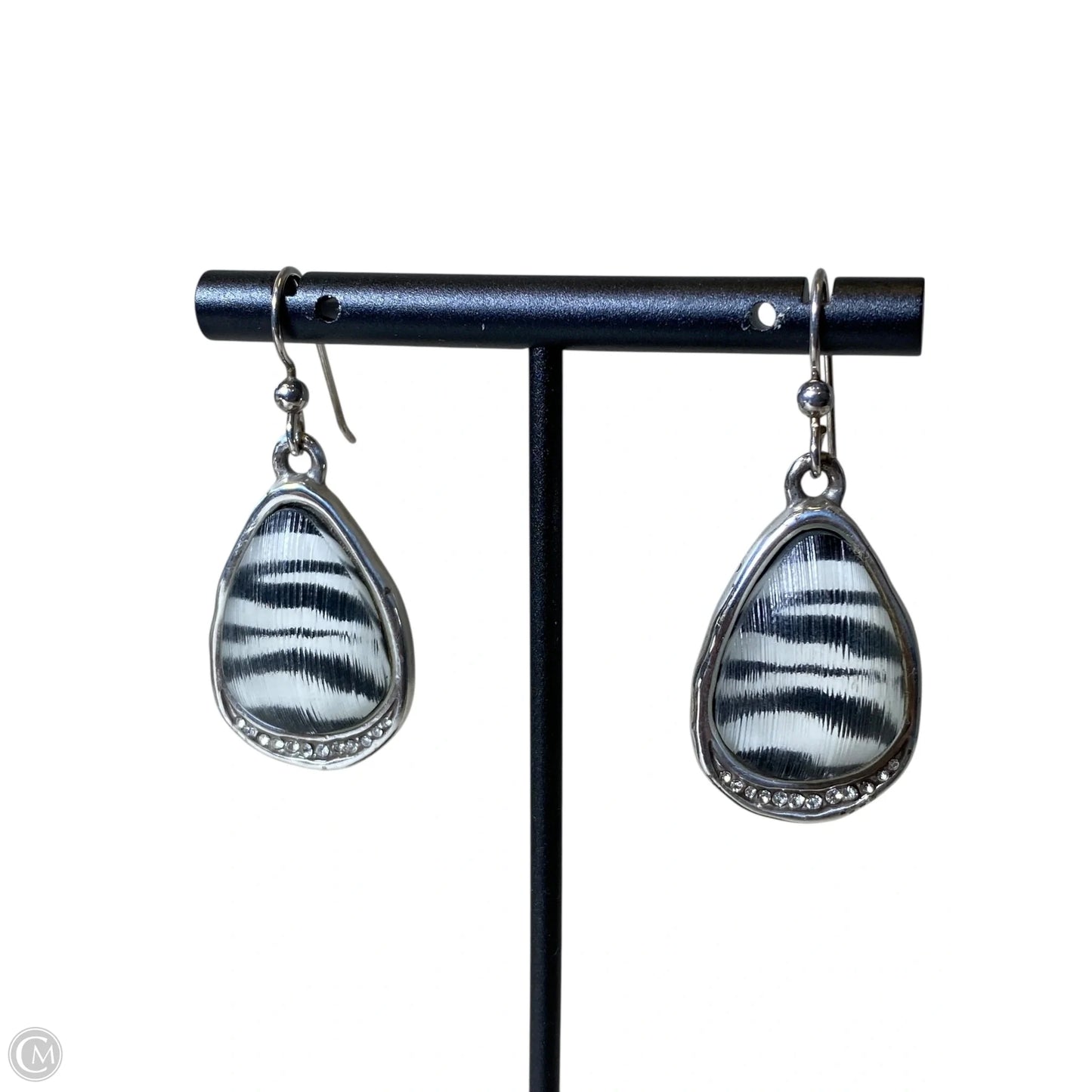 Earrings Dangle/drop By Clothes Mentor