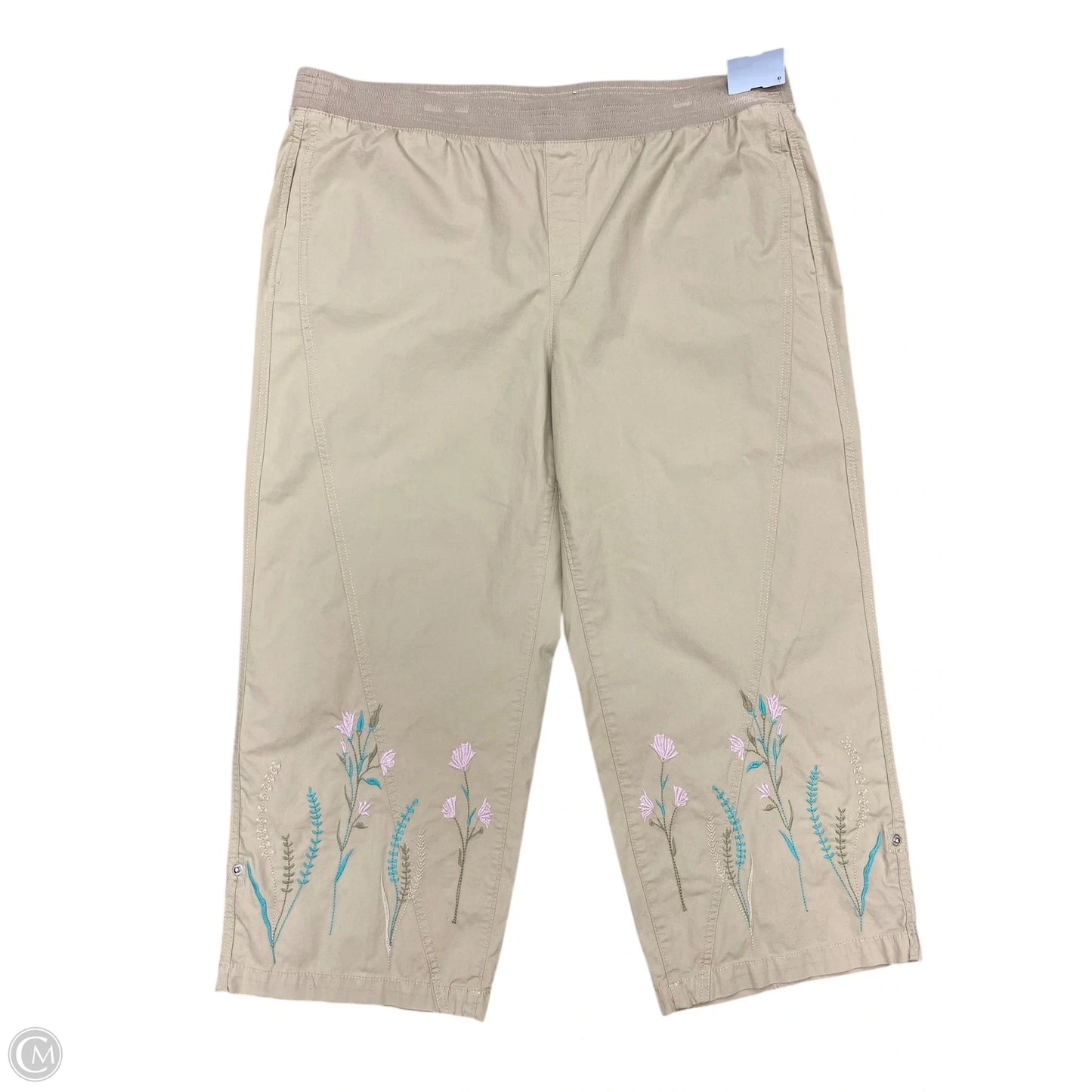 Pants Wide Leg By Chicos In Taupe, Size: 16