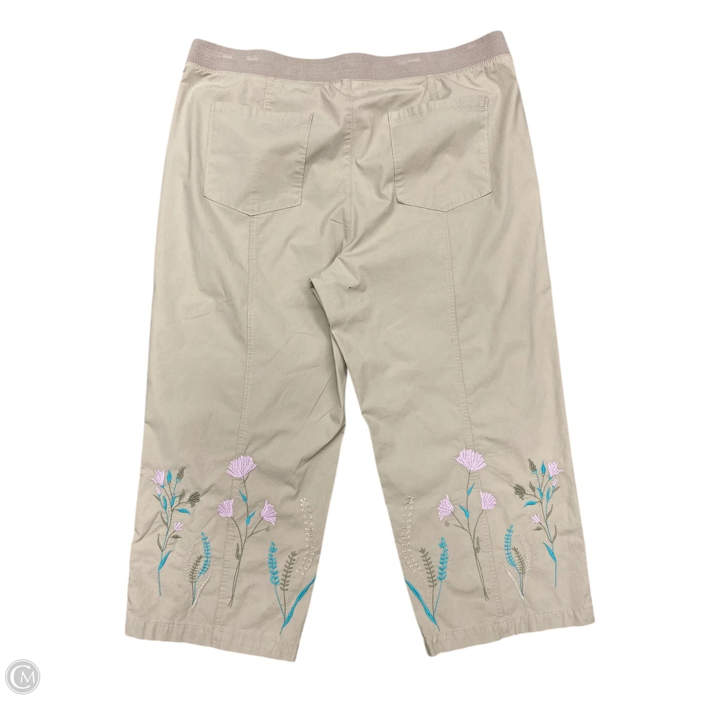 Pants Wide Leg By Chicos In Taupe, Size: 16