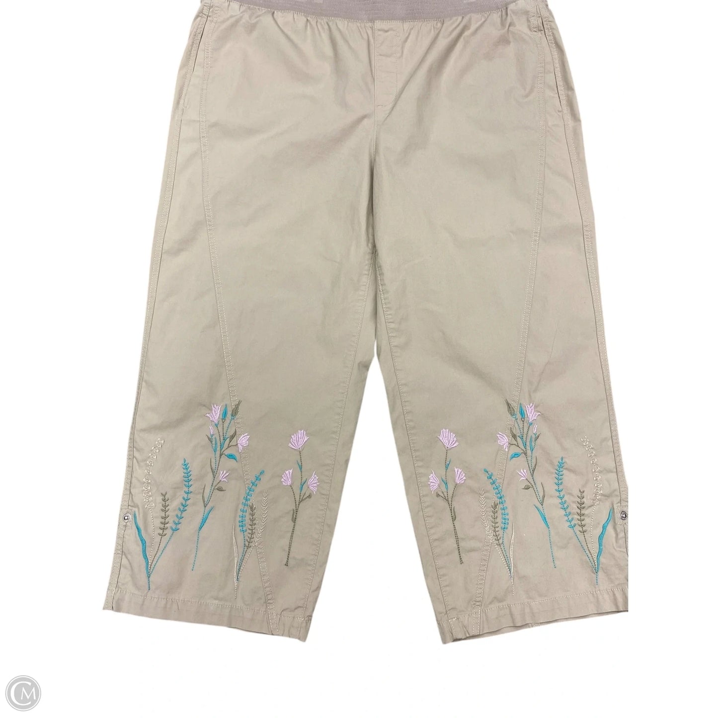 Pants Wide Leg By Chicos In Taupe, Size: 16