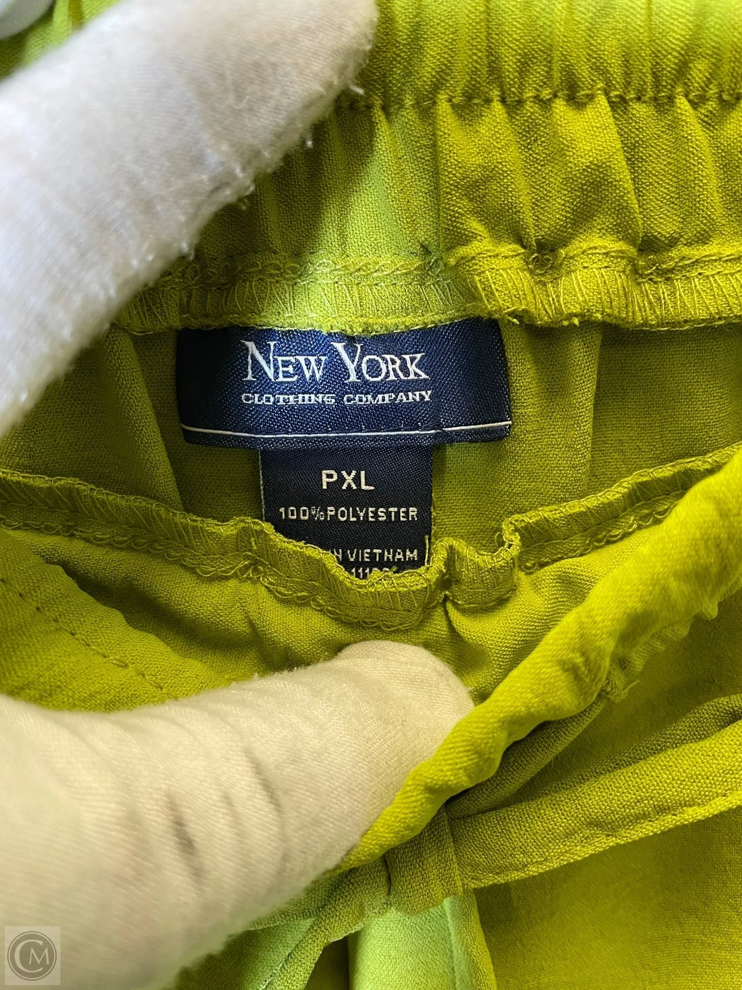 Pants Other By New York And Co In Green, Size: Xl