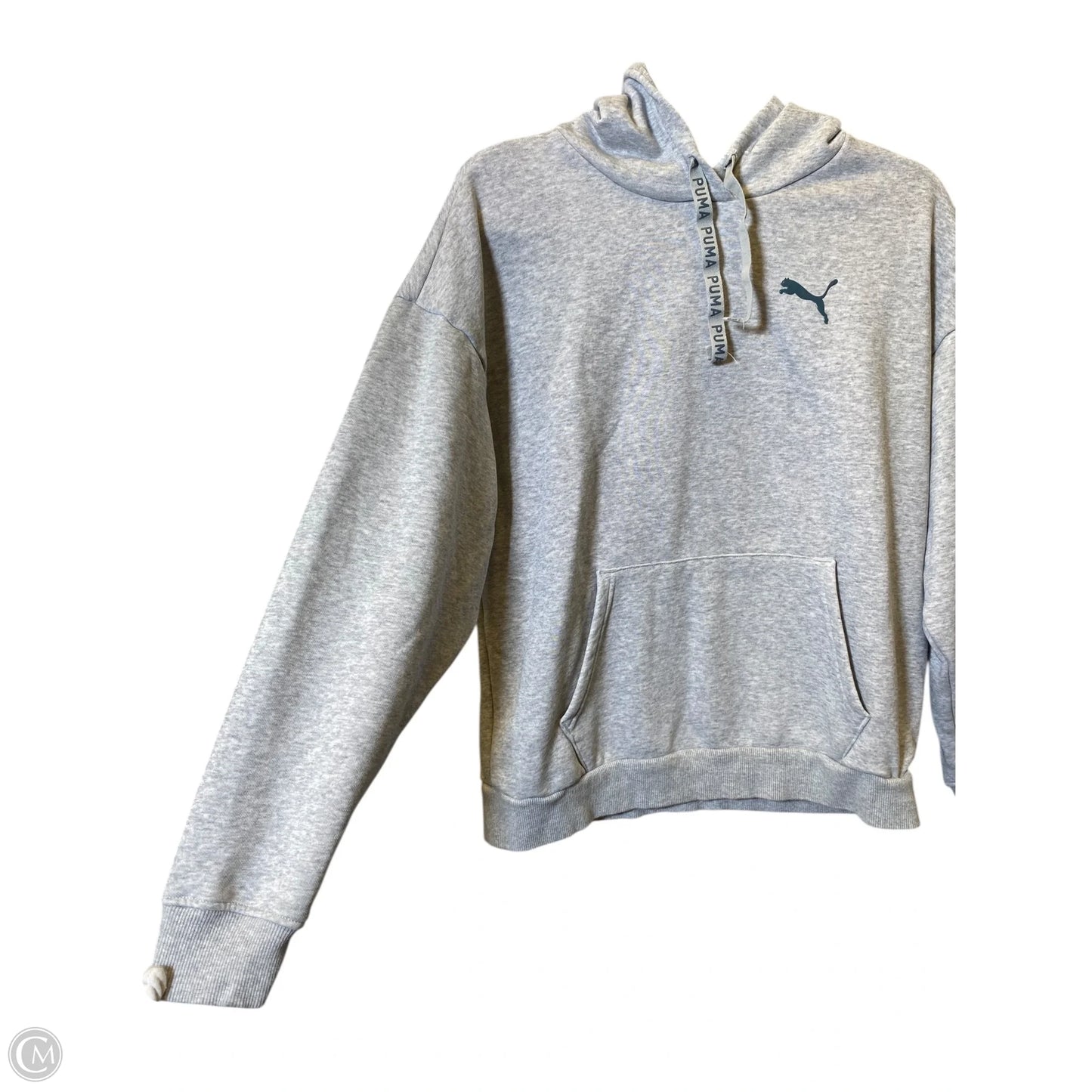 Sweatshirt Hoodie By Puma In Grey, Size: M