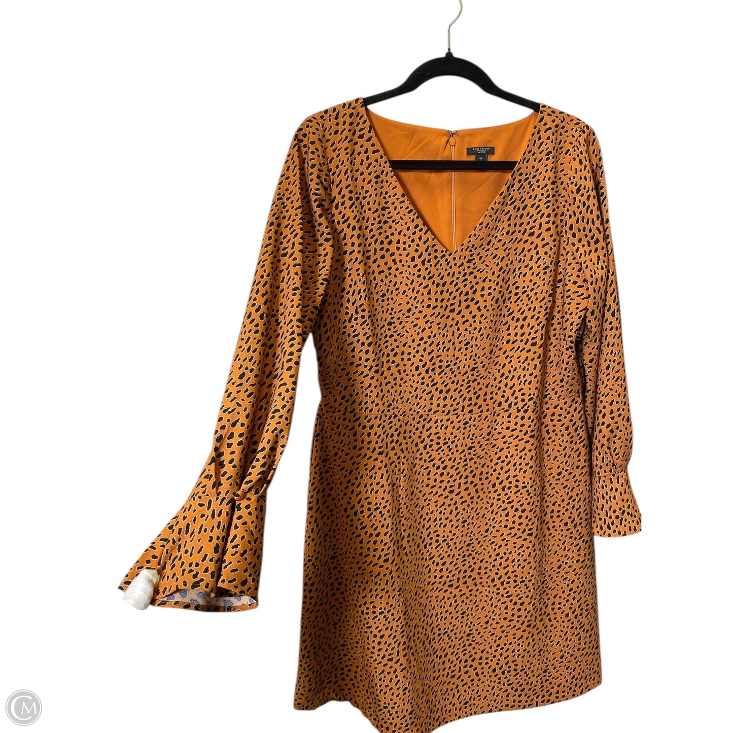 Dress Casual Short By Ann Taylor In Animal Print, Size: 12