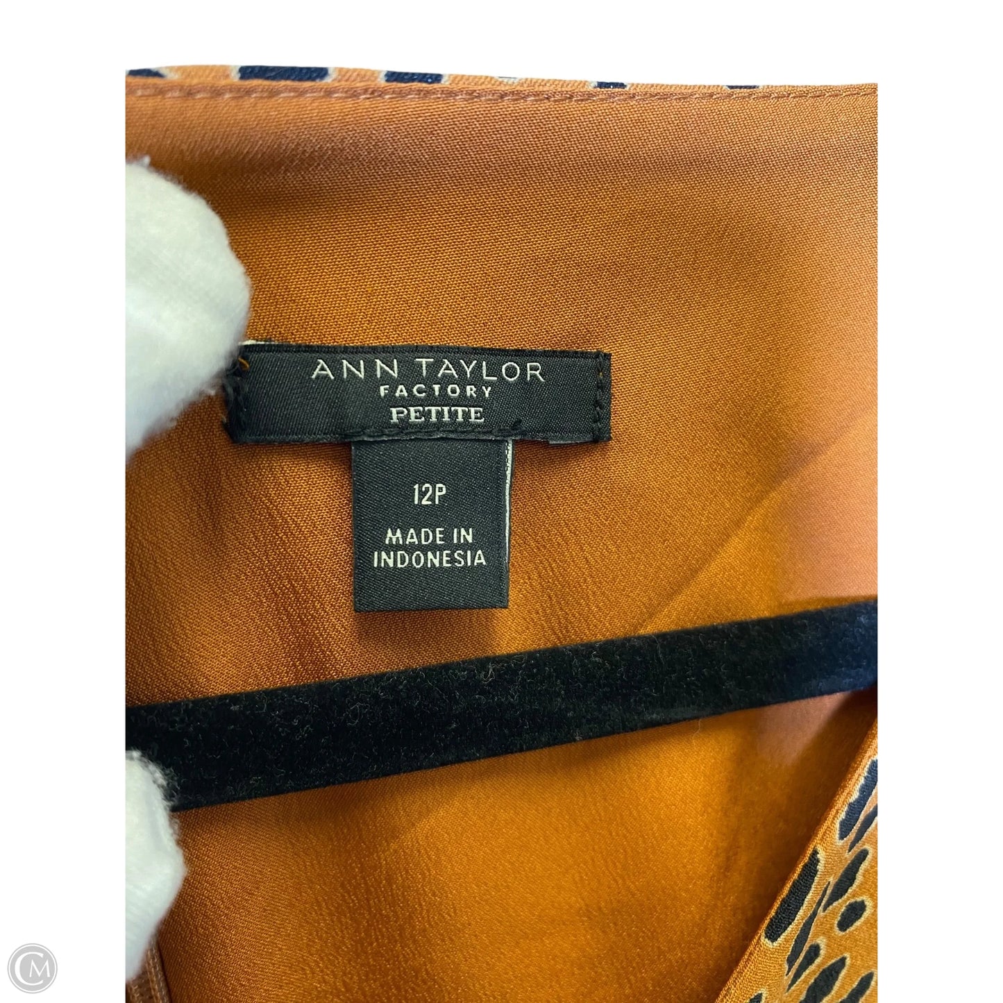 Dress Casual Short By Ann Taylor In Animal Print, Size: 12