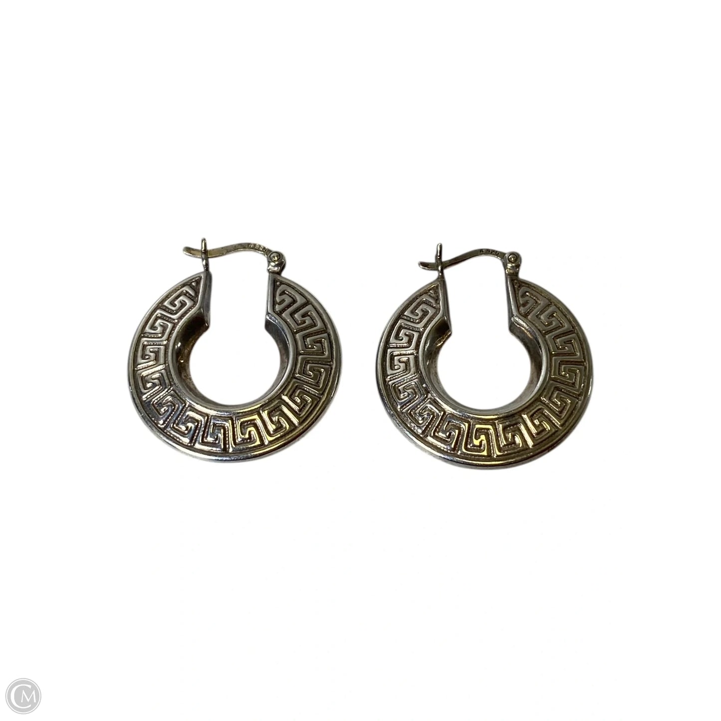 Earrings Hoop By Clothes Mentor