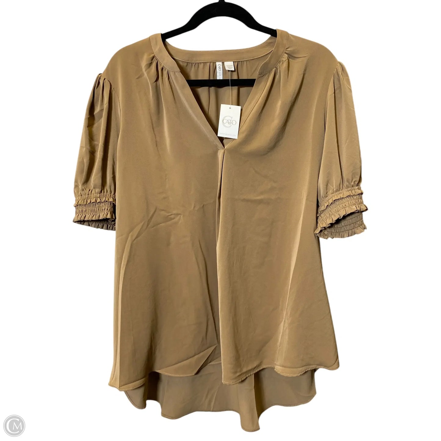 Top Short Sleeve By Cato In Beige, Size: 2x