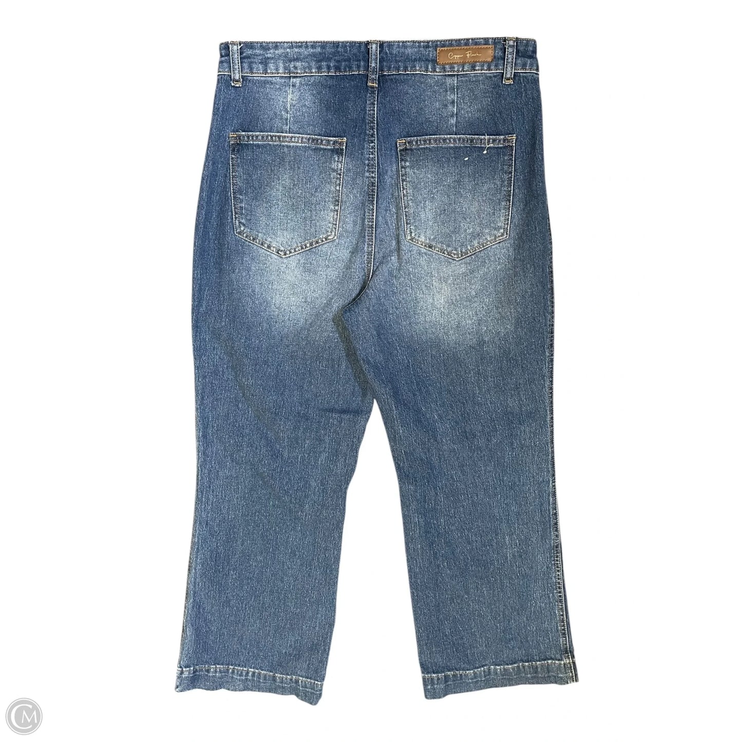 Jeans Wide Leg By Clothes Mentor In Blue Denim, Size: 10