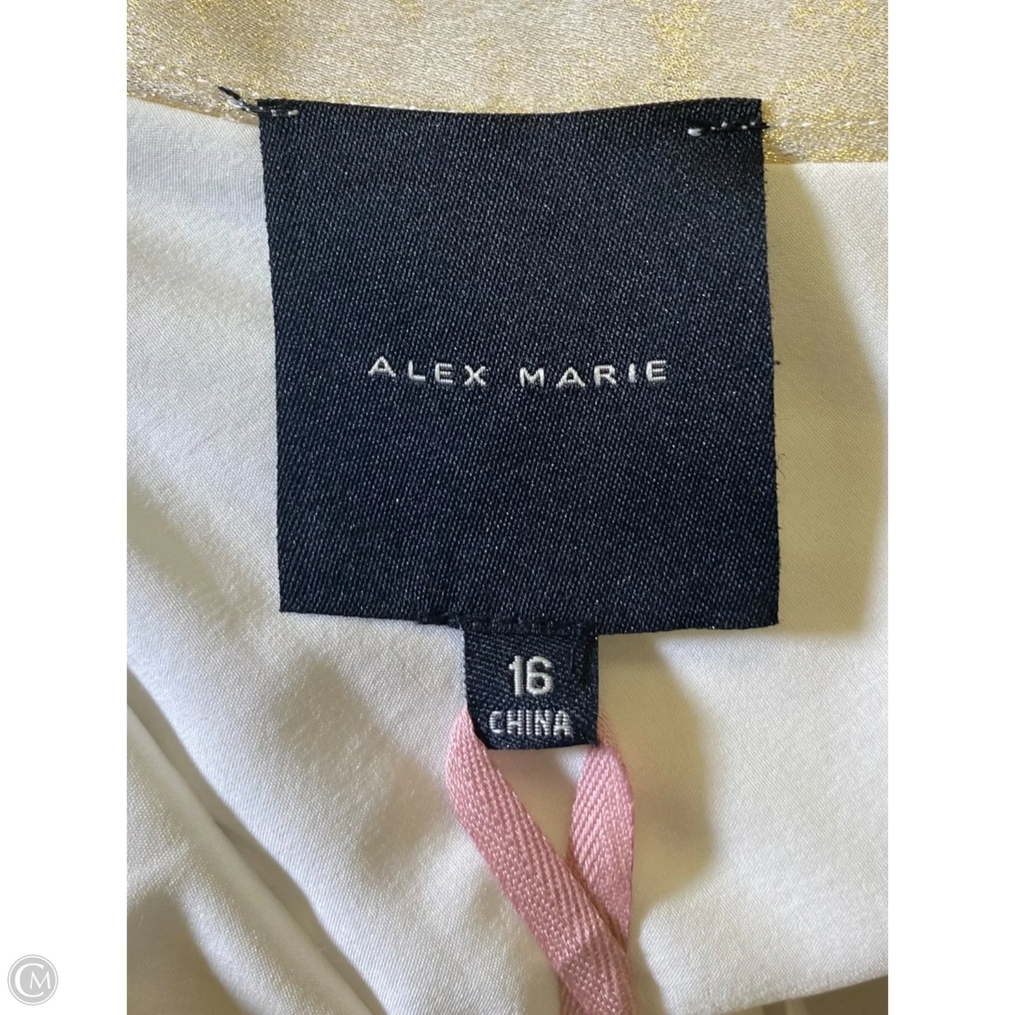 Skirt Maxi By Alex Marie In Gold, Size: Xl