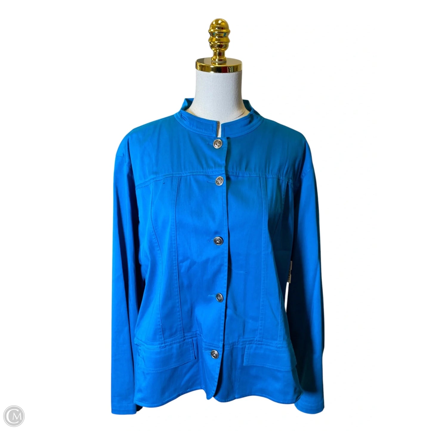 Top Long Sleeve By Chicos In Aqua, Size: Xl