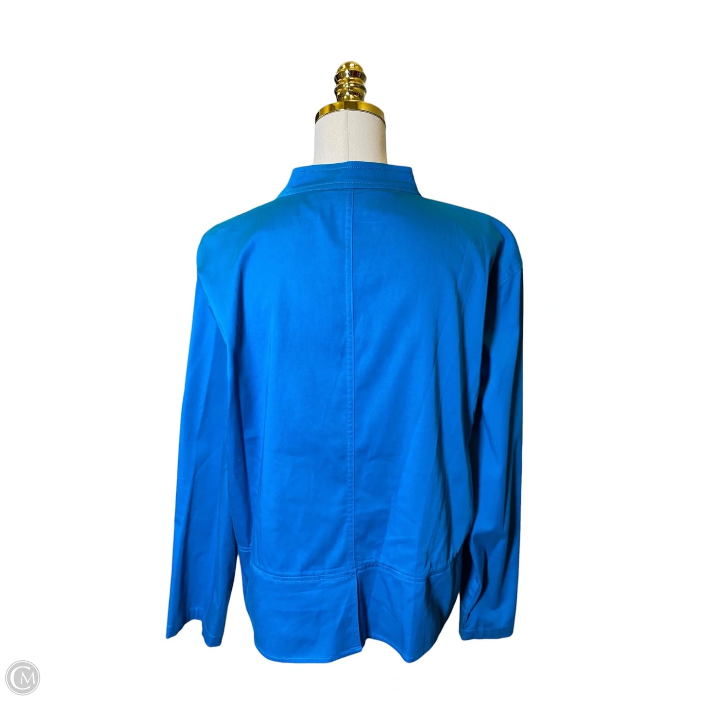 Top Long Sleeve By Chicos In Aqua, Size: Xl