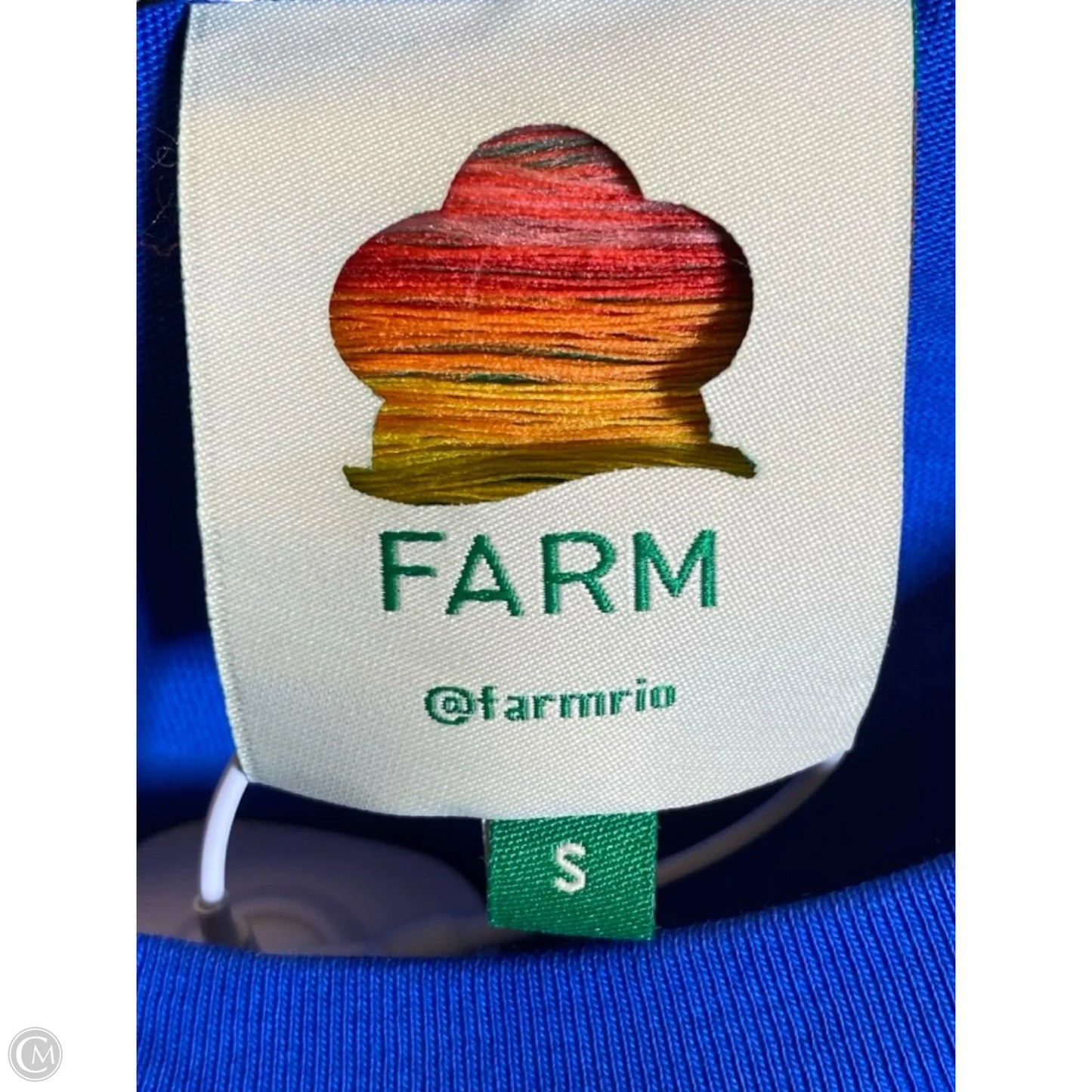Top Sleeveless By Farm Rio In Blue, Size: S