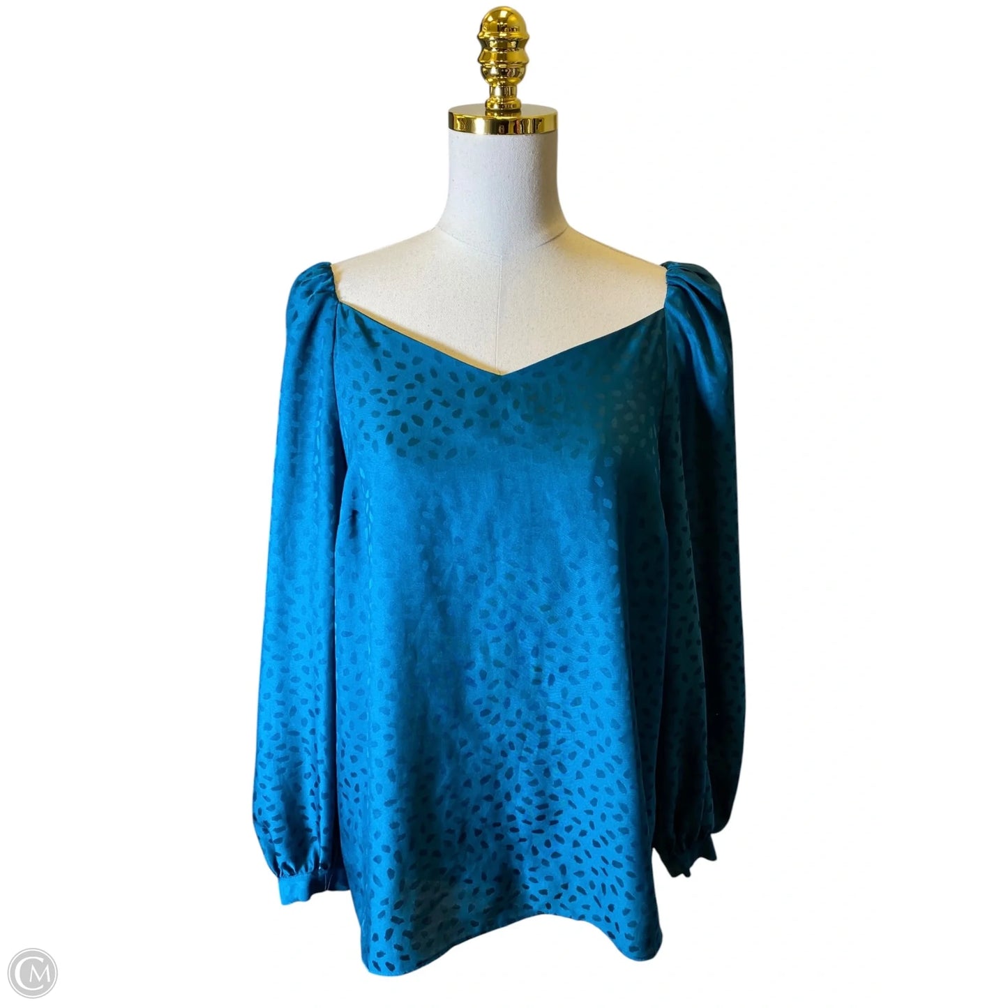 Blouse Long Sleeve By Ann Taylor In Aqua, Size: L