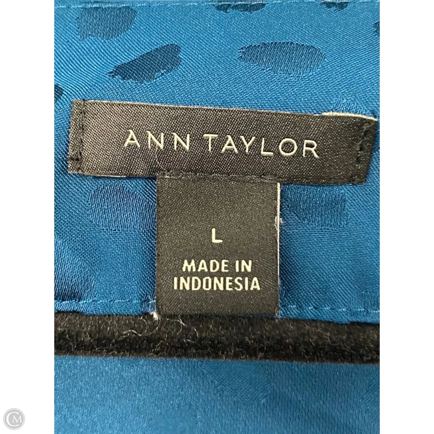 Blouse Long Sleeve By Ann Taylor In Aqua, Size: L