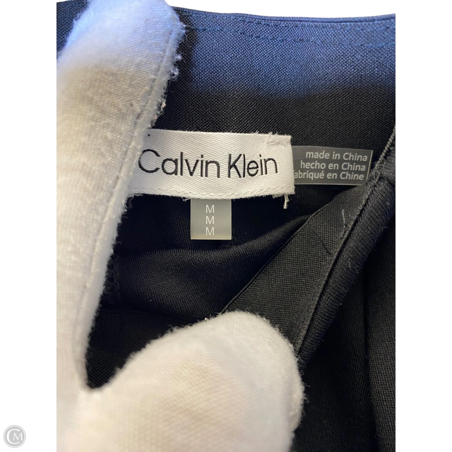 Skirt Maxi By Calvin Klein In Black, Size: M