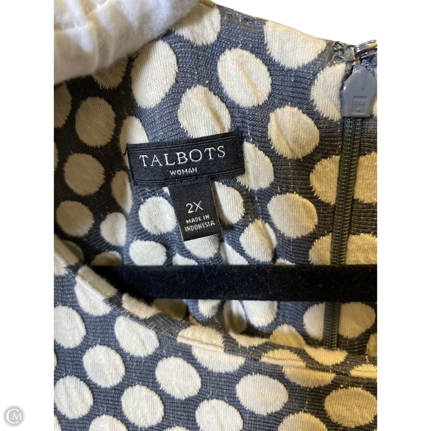 Dress Casual Short By Talbots In Cream & Grey, Size: 2x