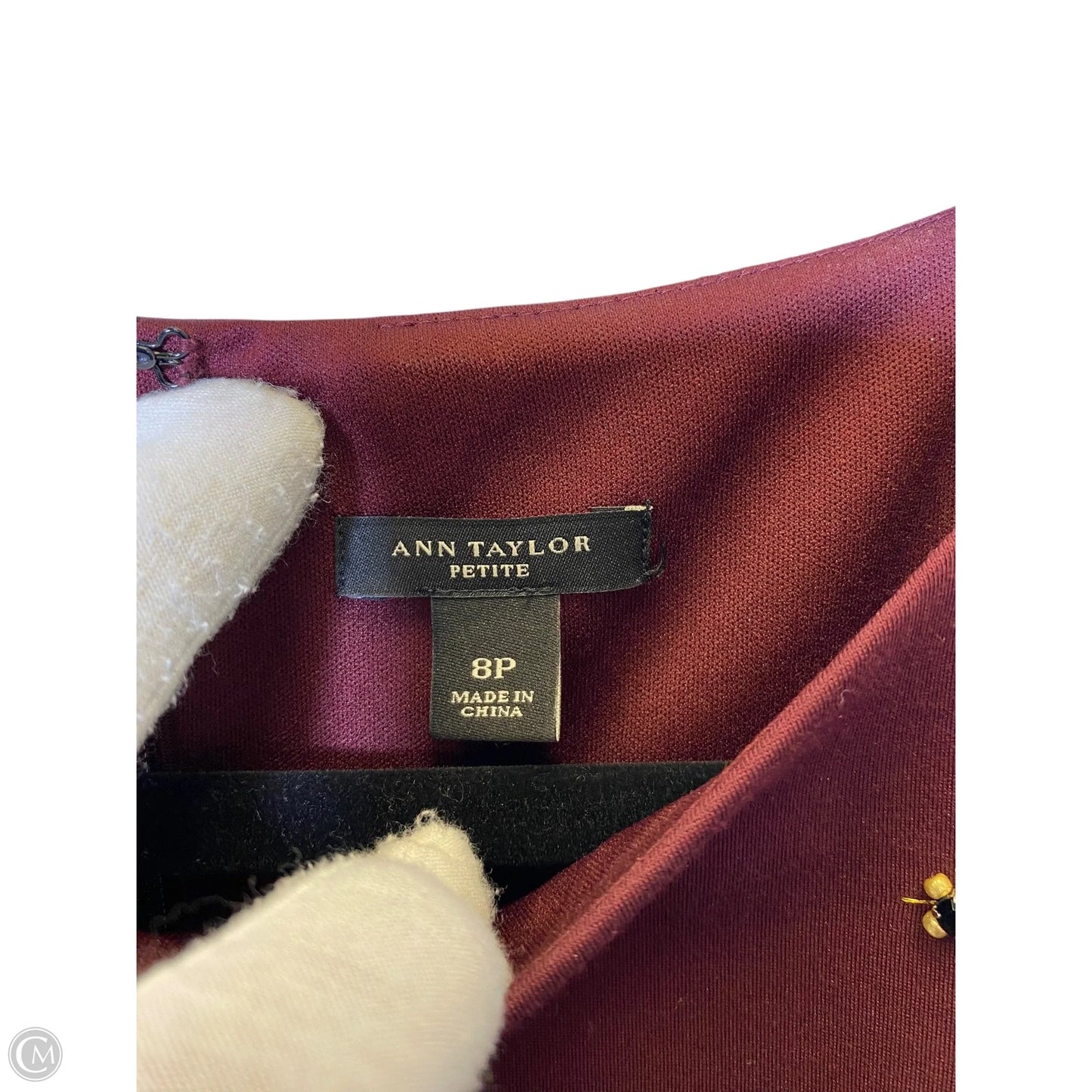 Dress Casual Short By Ann Taylor In Maroon, Size: 8p