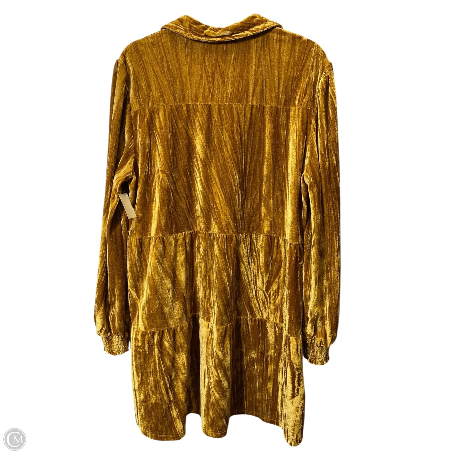 Dress Casual Short By Cato In Gold, Size: Xl