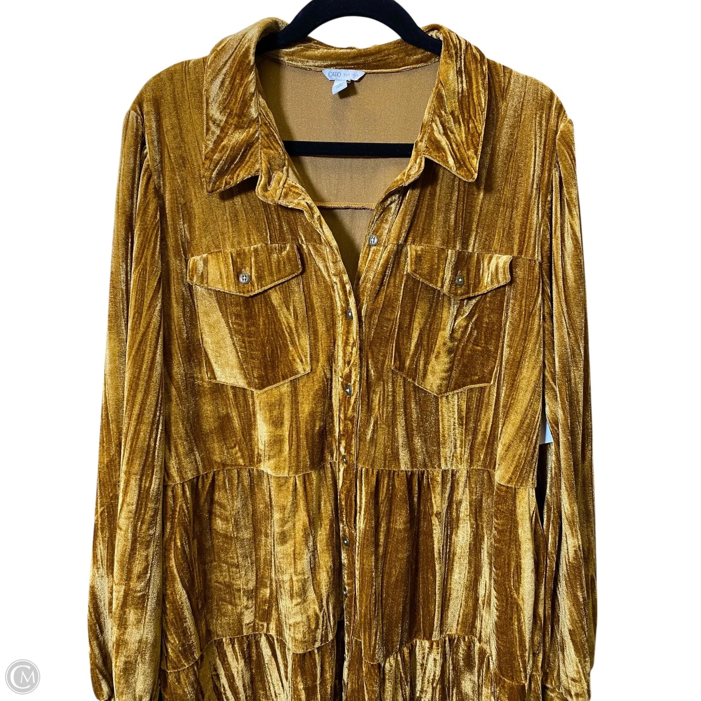 Dress Casual Short By Cato In Gold, Size: Xl