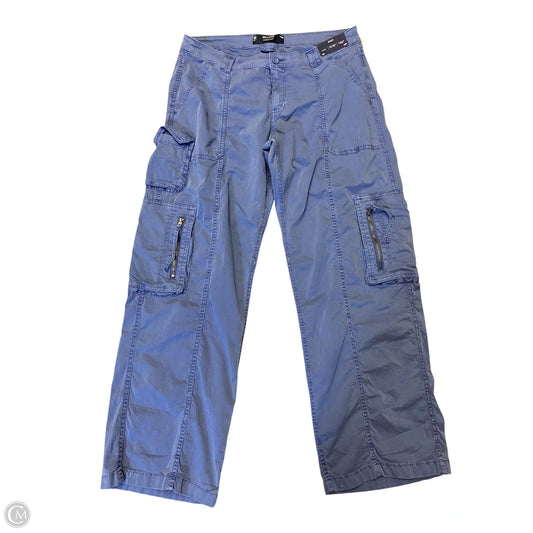 Pants Cargo & Utility By Hollister In Blue, Size: 10