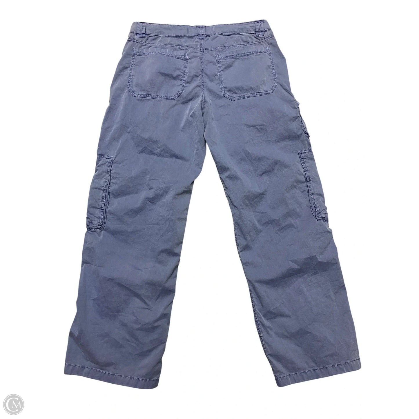 Pants Cargo & Utility By Hollister In Blue, Size: 10