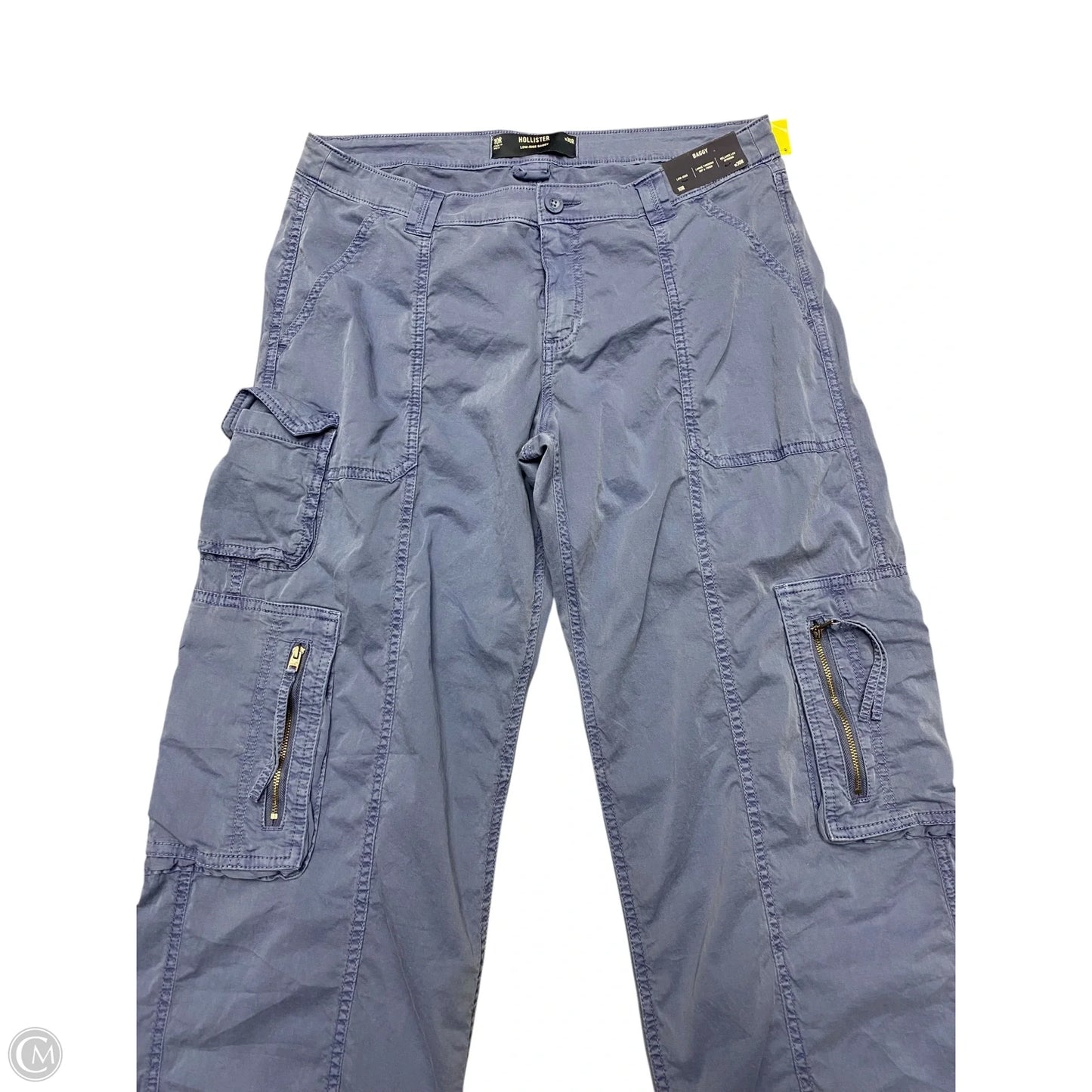 Pants Cargo & Utility By Hollister In Blue, Size: 10