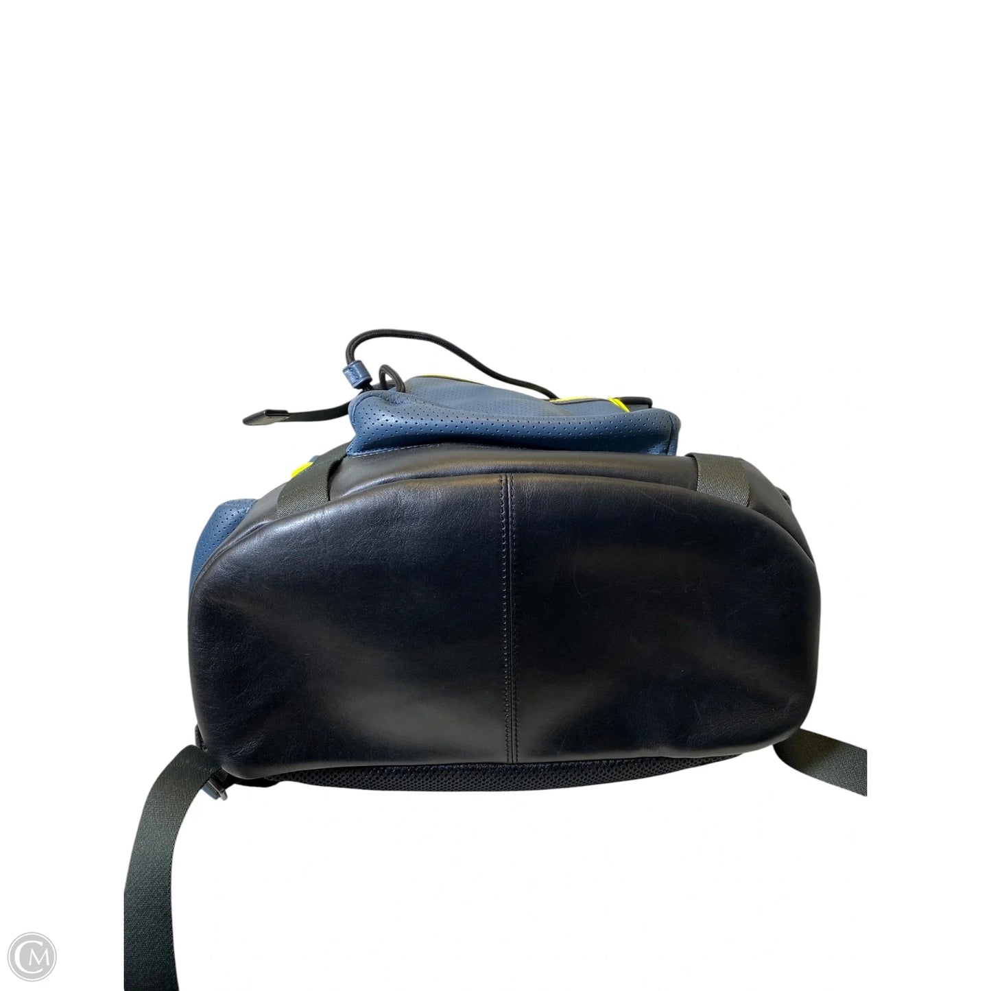 Backpack Designer By Coach, Size: Large