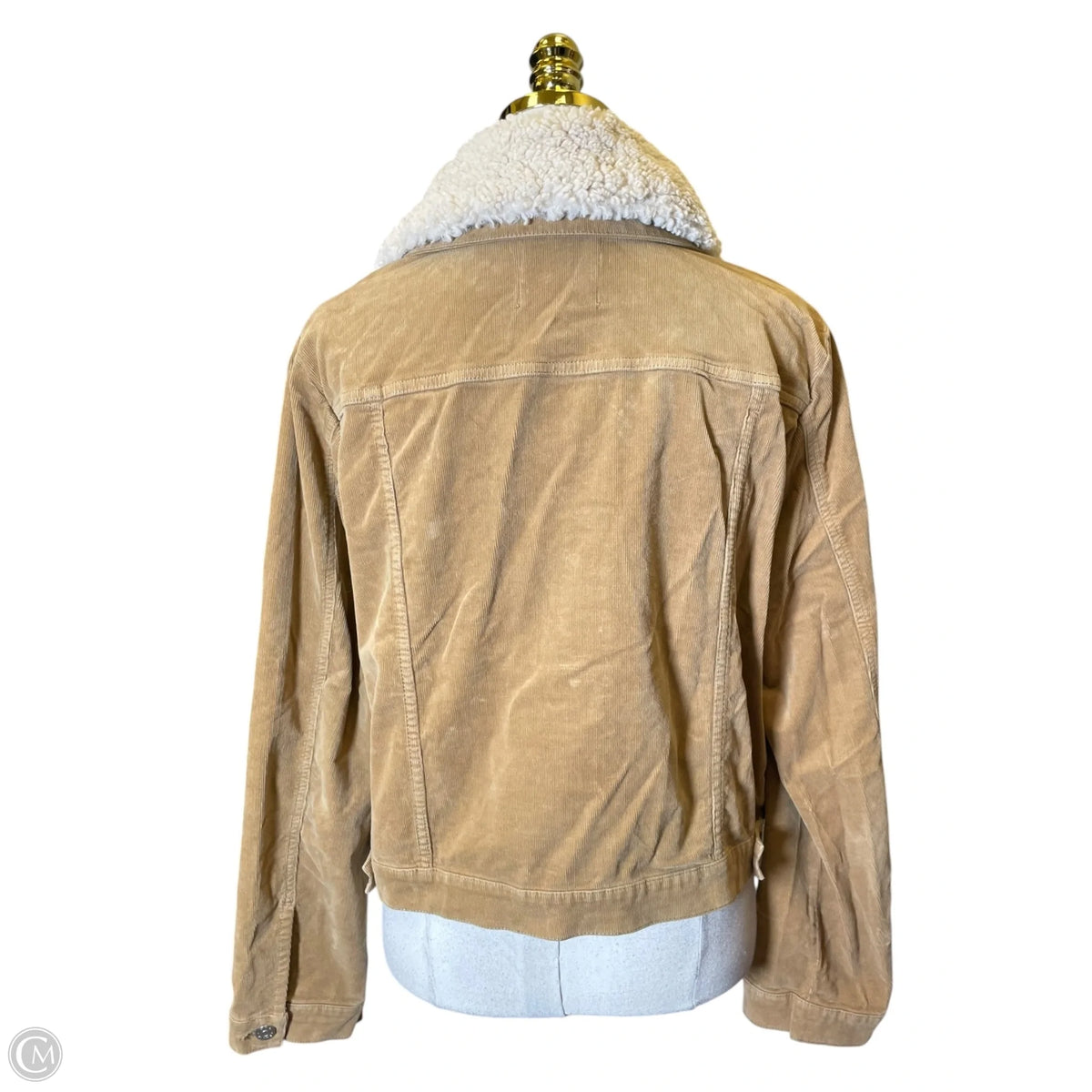 Jacket Other By Mng In Tan, Size: Xxl