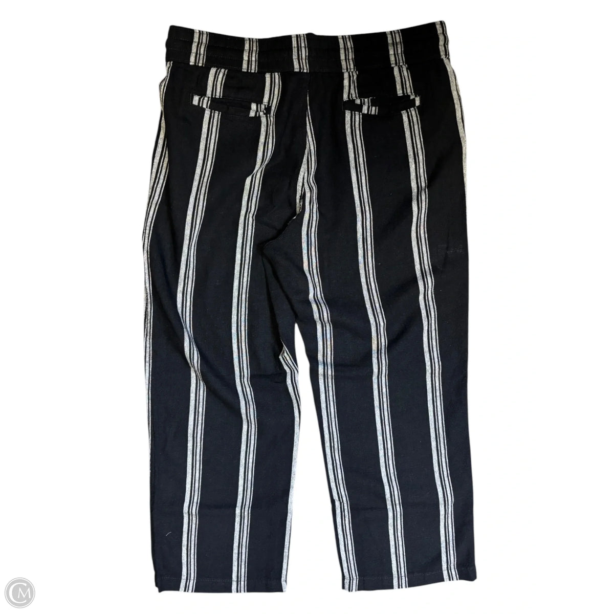 Pants Other By Ann Taylor In Striped Pattern, Size: M