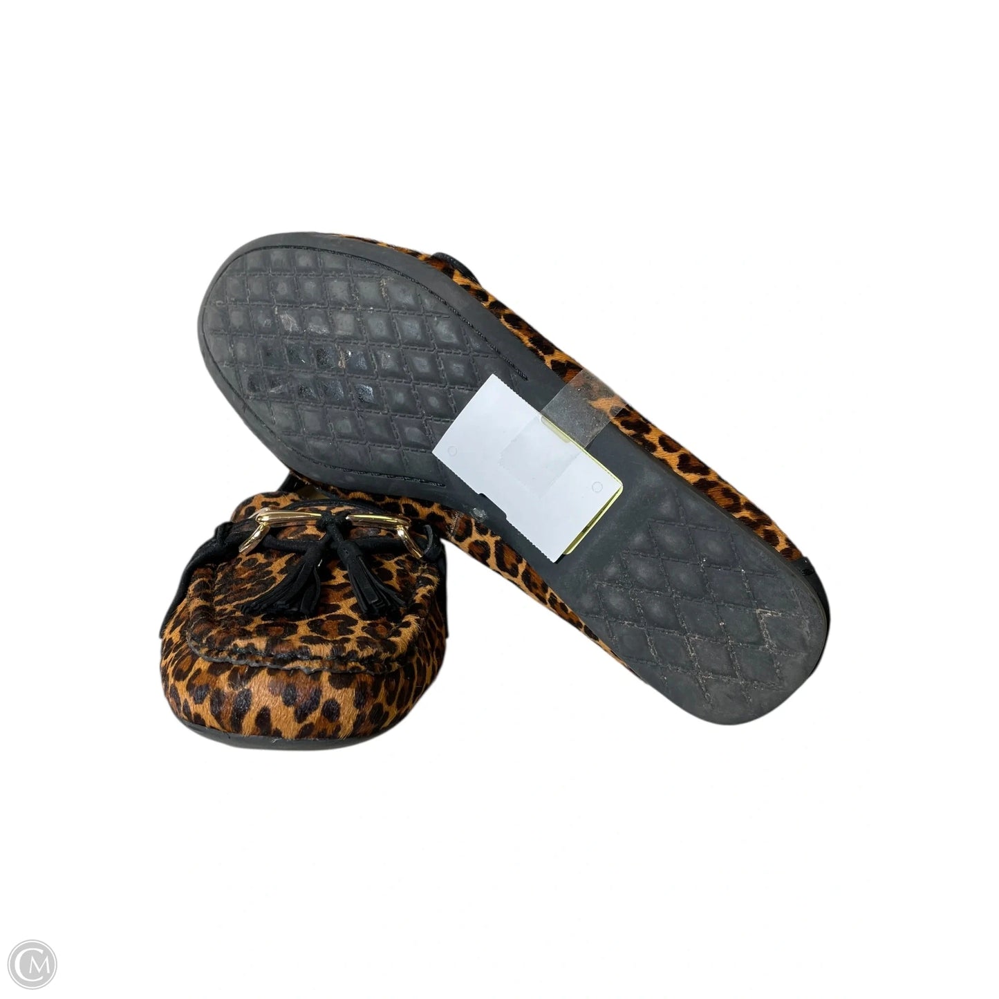 Shoes Flats By Alex Marie In Animal Print, Size: 9.5