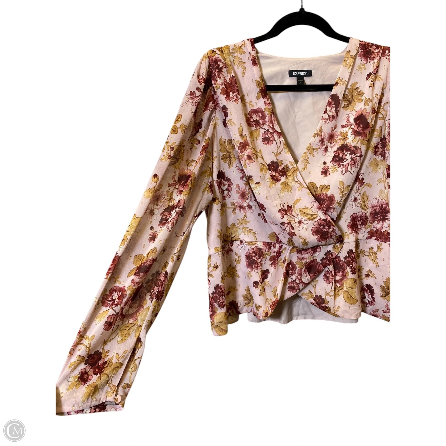 Blouse Long Sleeve By Express In Coral, Size: Xl