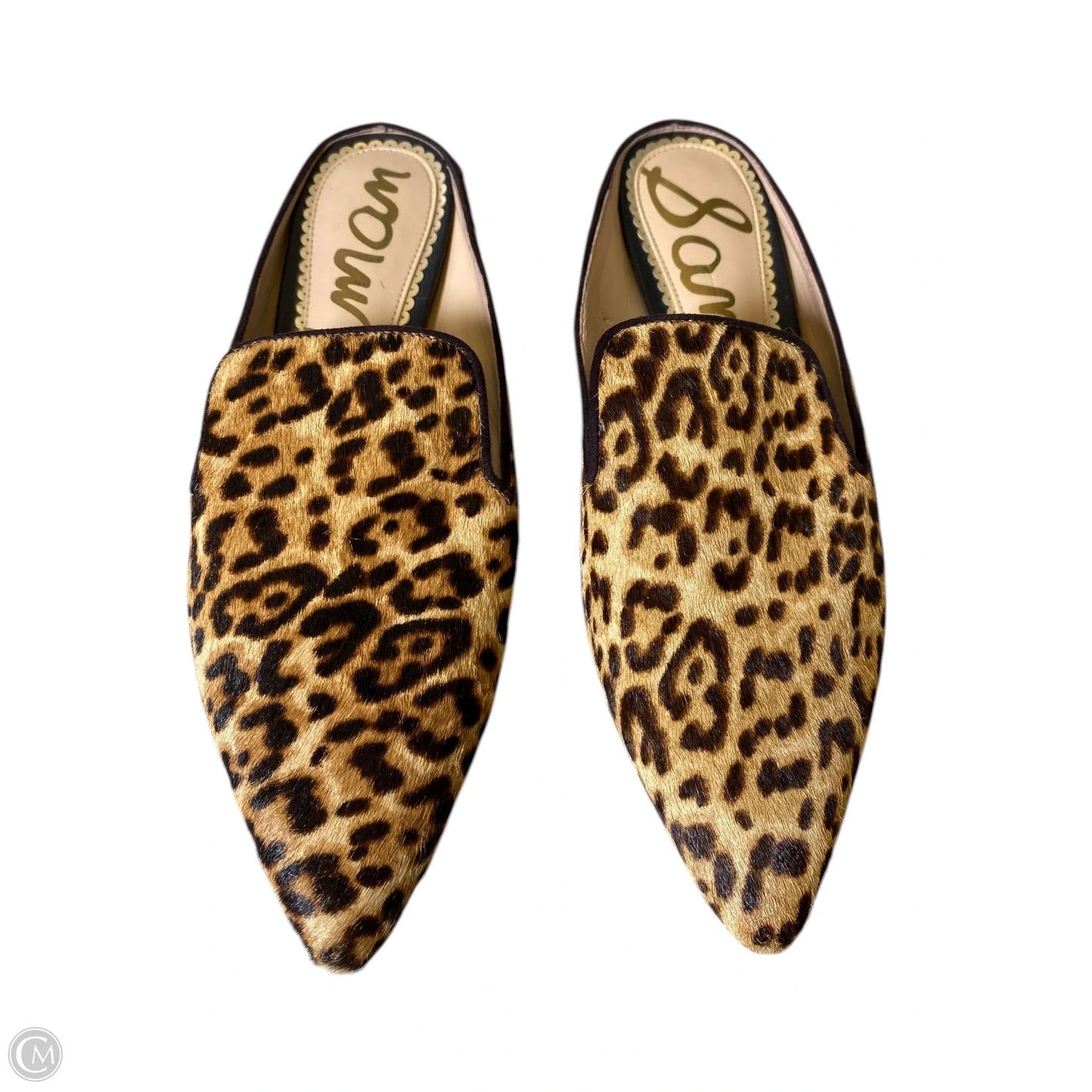 Shoes Flats By Sam Edelman In Animal Print, Size: 7.5