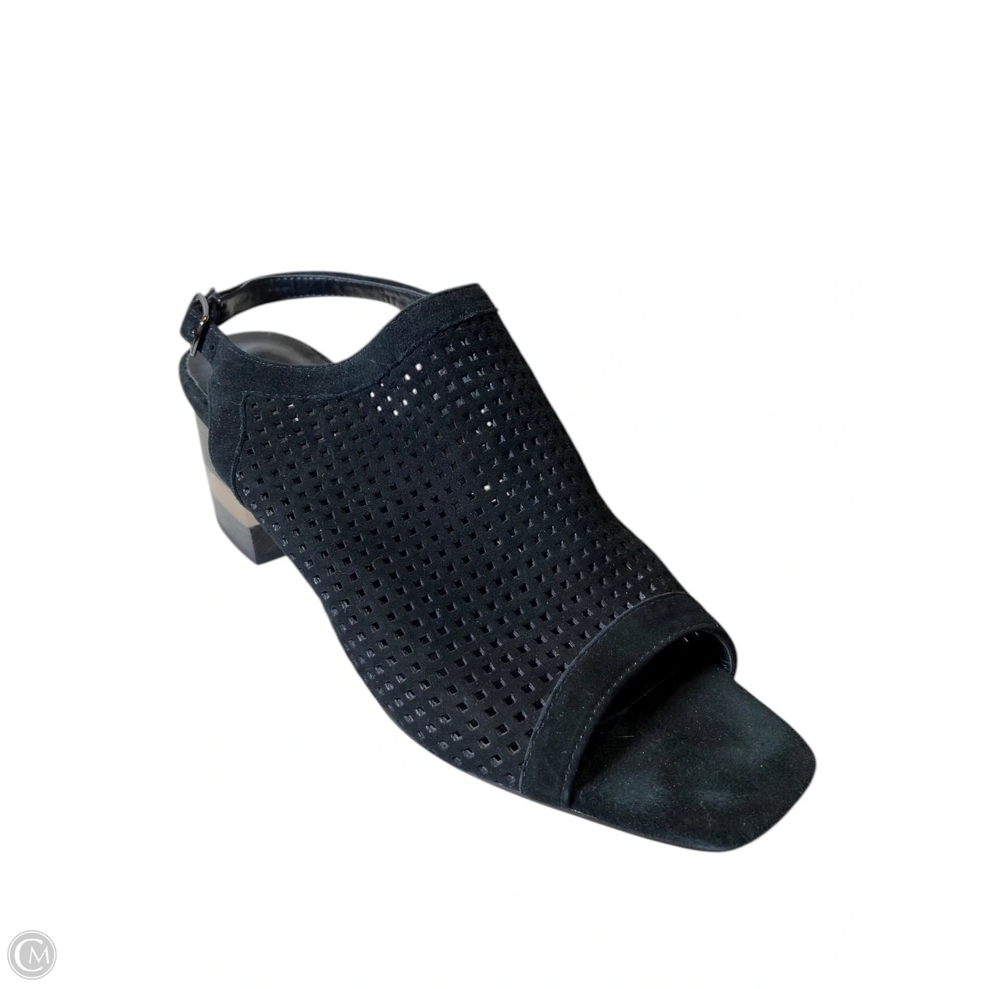 Shoes Heels Block By Vaneli In Black, Size: 8