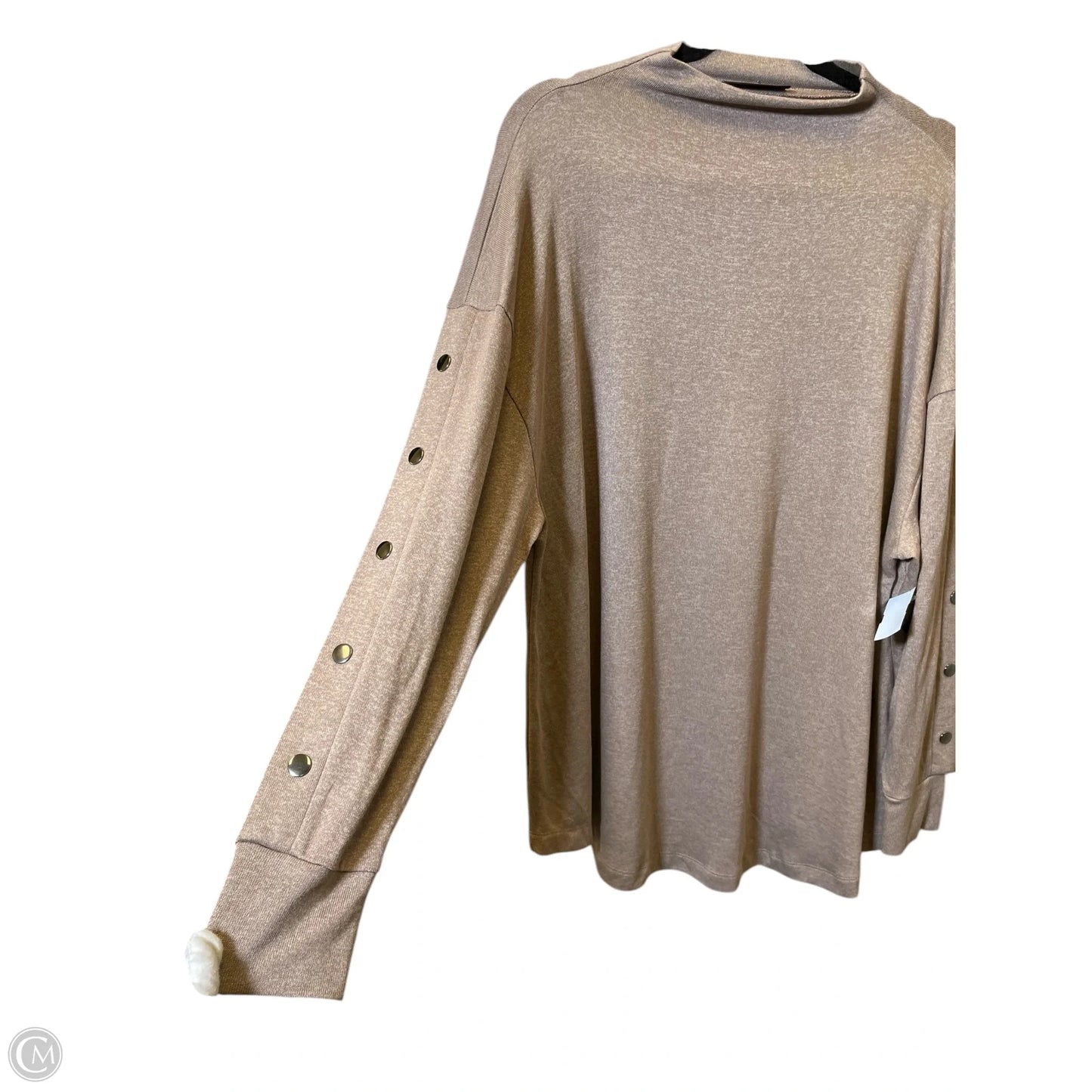 Top Long Sleeve By Lane Bryant In Taupe, Size: 1x