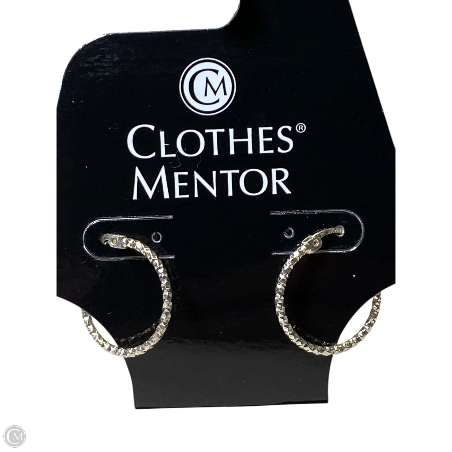 Earrings Hoop By Clothes Mentor
