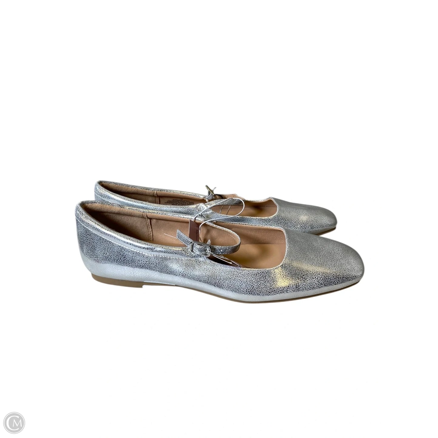 Shoes Flats By Wild Fable In Silver, Size: 10