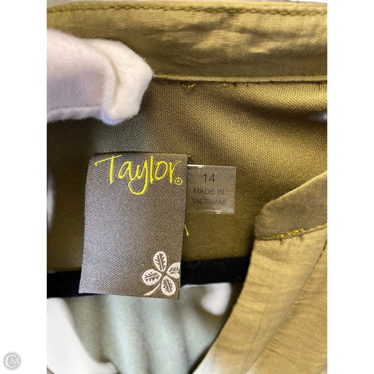 Dress Casual Maxi By Taylor In Green, Size: 14