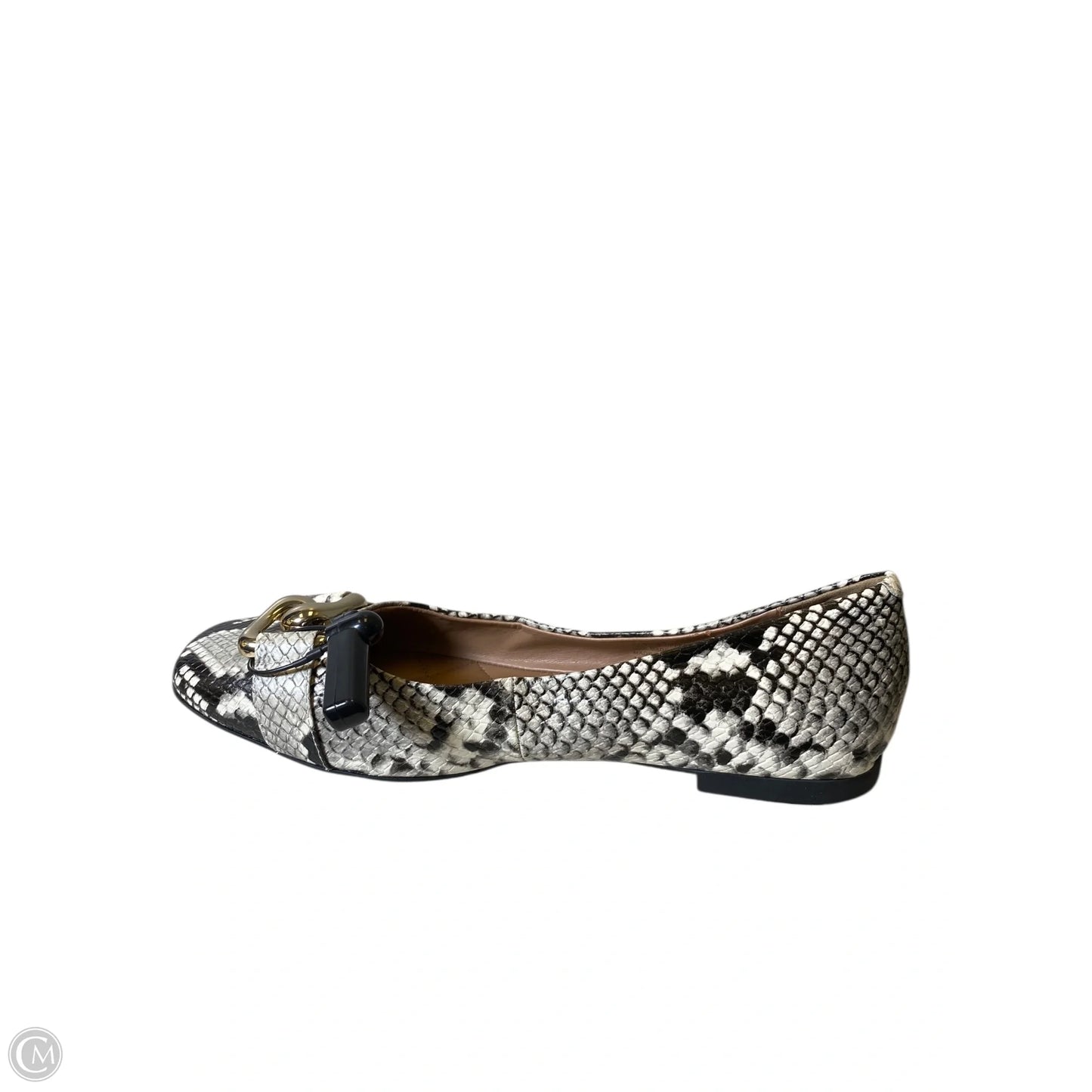 Shoes Flats By Aerosoles In Snakeskin Print, Size: 10