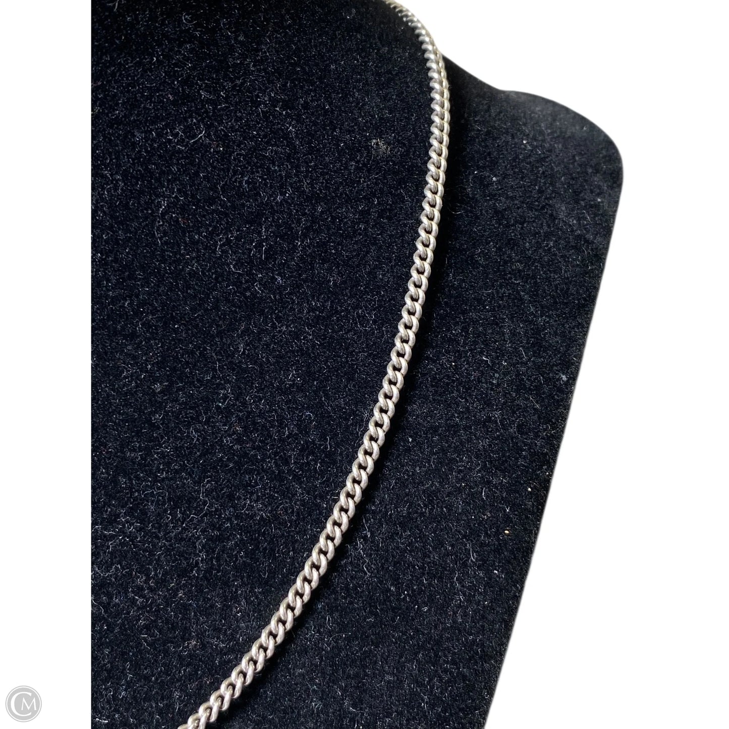 Necklace Chain By Clothes Mentor