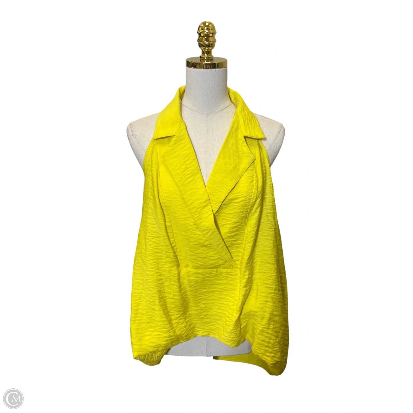 Top Sleeveless By Anthropologie In Yellow, Size: L