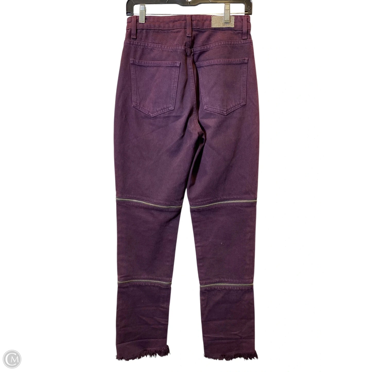 Pants Cargo & Utility By Clothes Mentor In Purple, Size: 2