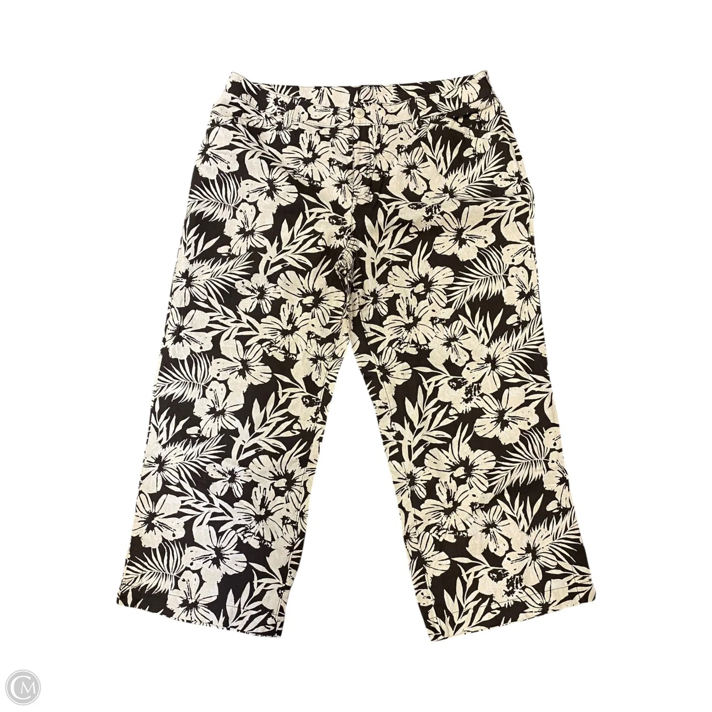 Pants Other By Amber Sun In Brown & Cream, Size: 14