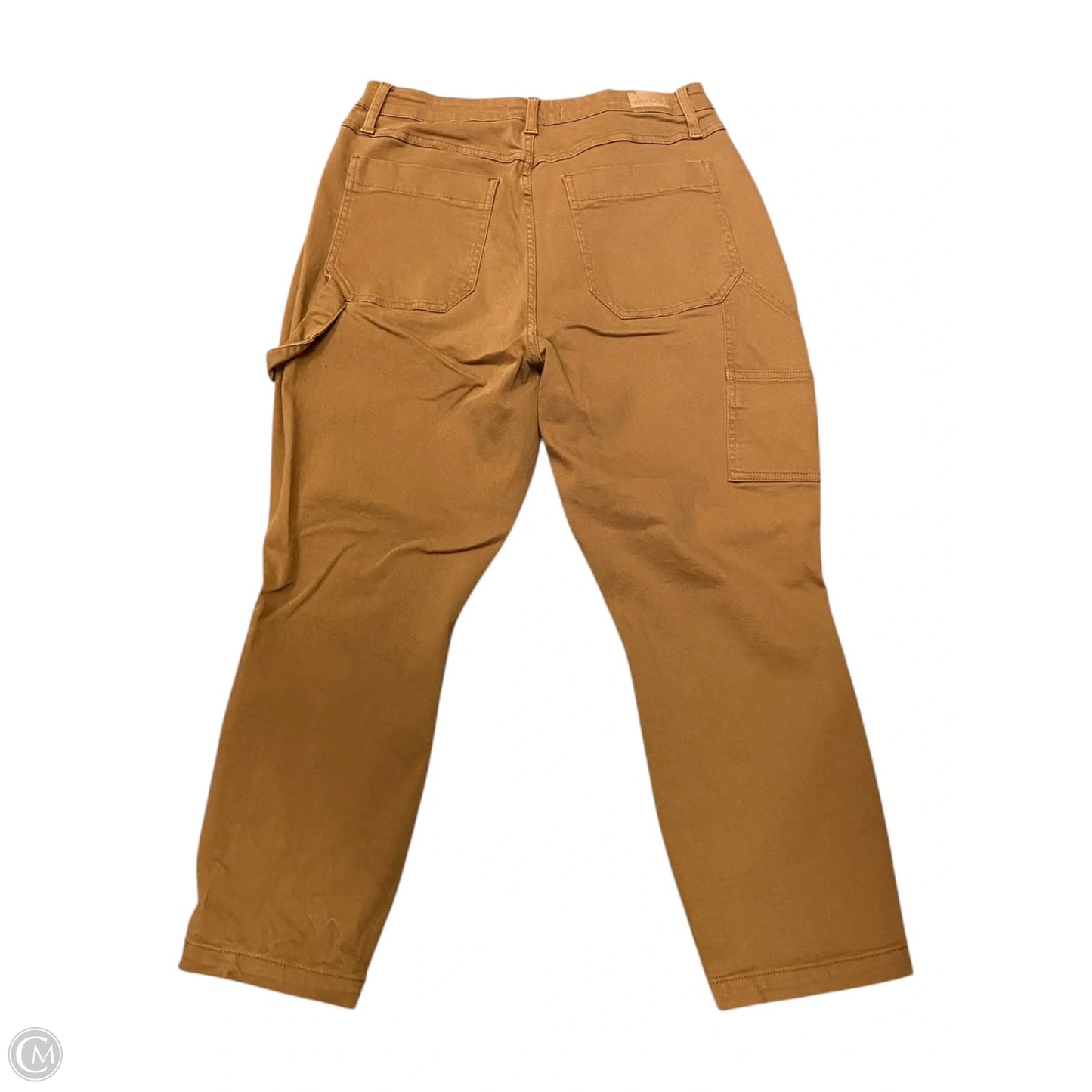 Pants Cargo & Utility By Judy Blue In Brown, Size: 16
