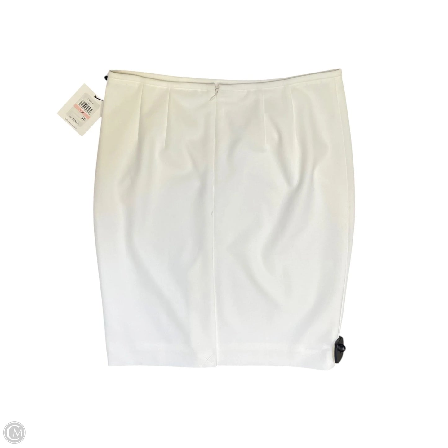 Skirt Maxi By Calvin Klein In White, Size: 10